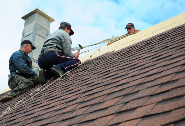 Best Gutter Installation and Roofing  in Ridgecrest, FL