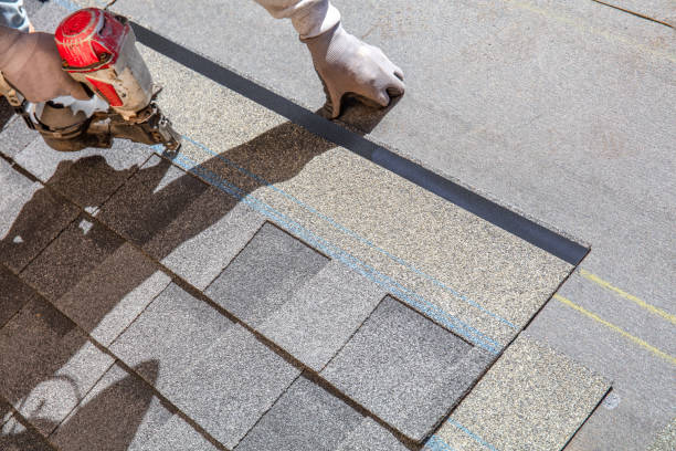 Best Roof Gutter Cleaning  in Ridgecrest, FL
