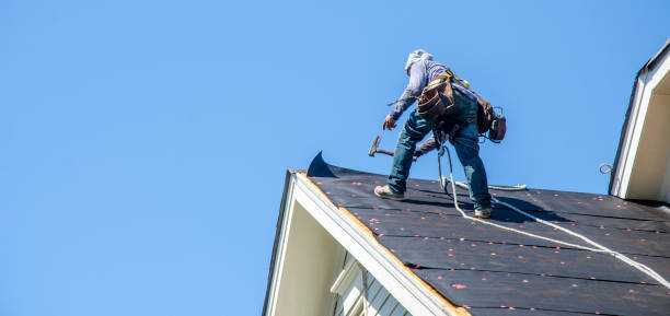 Best Roof Gutter Cleaning  in Ridgecrest, FL